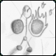 Mr. Molecule D Thumbnail